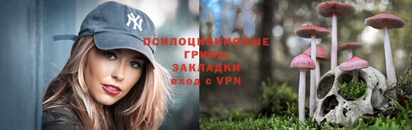 apvp Абаза