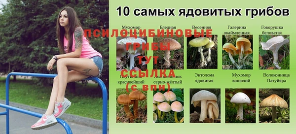 mdpv Алзамай