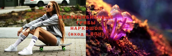 apvp Абаза