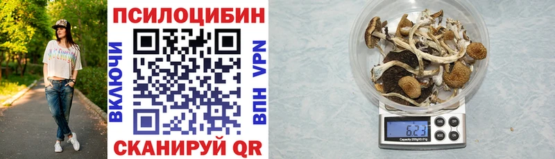 Галлюциногенные грибы мухоморы  закладки  darknet какой сайт  Кострома 